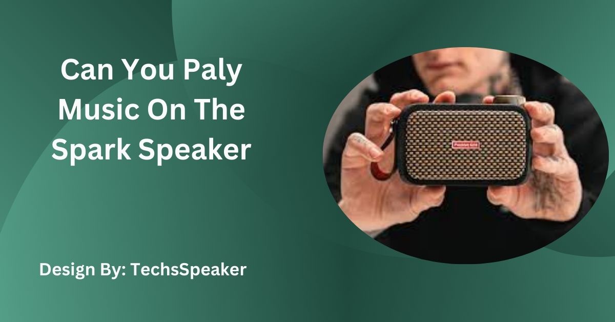 Can You Paly Music On The Spark Speaker – Complete Guide!