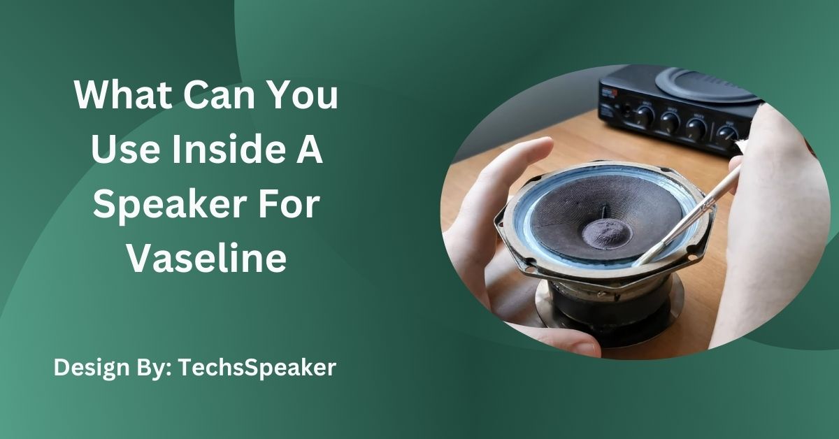 What Can You Use Inside A Speaker For Vaseline – Complete Guide!