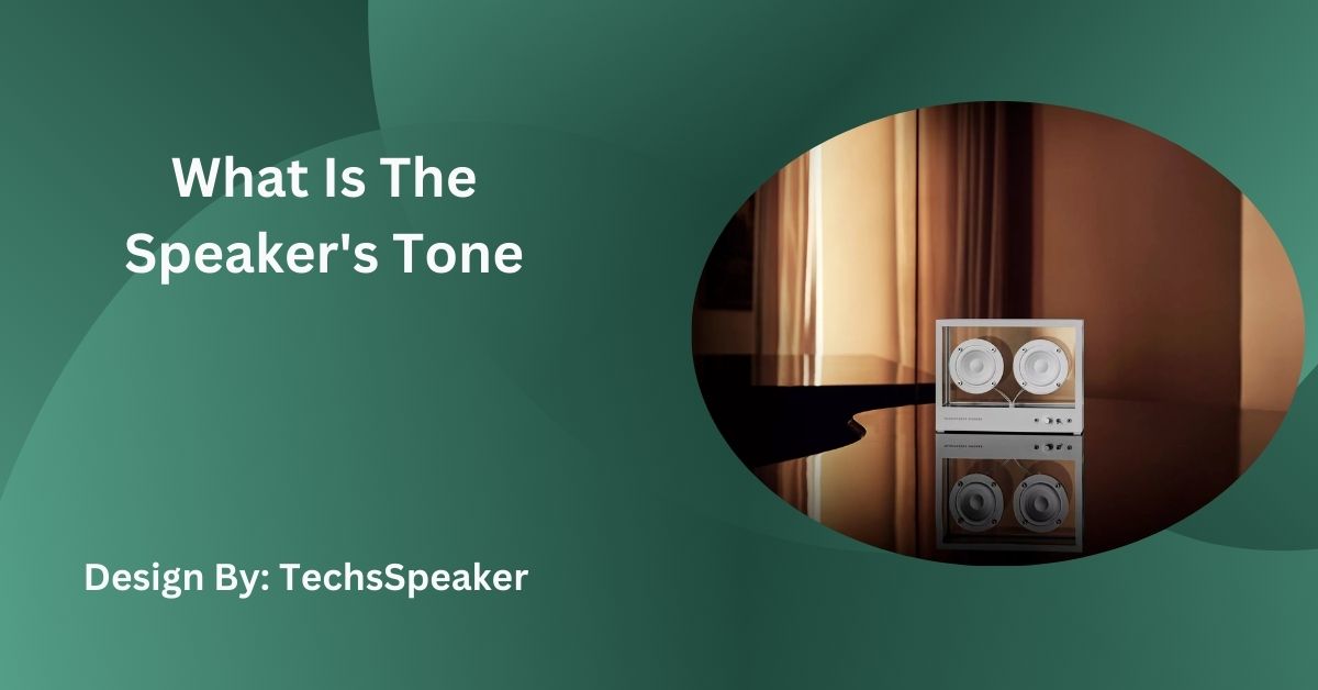 What Is The Speaker’s Tone – Guide to Effective Communication!