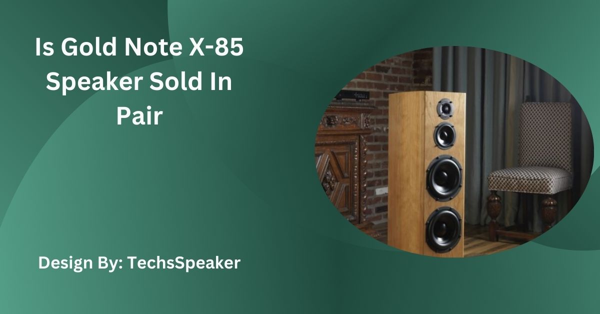 Is Gold Note X-85 Speaker Sold In Pair – Find Out Here!