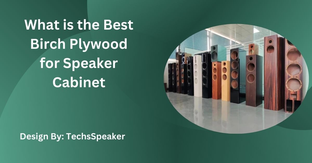 What is the Best Birch Plywood for Speaker Cabinet – Complete Guide!