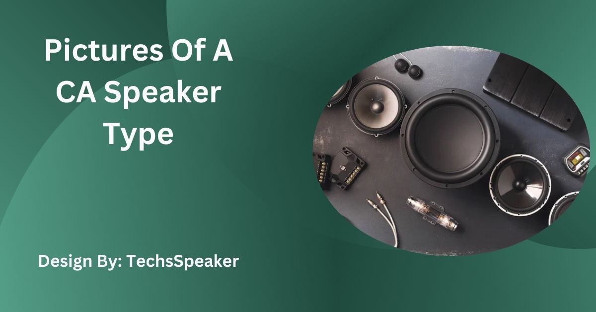 Pictures Of A CA Speaker Type